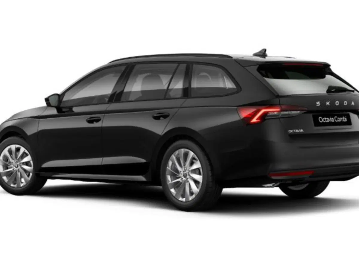 Skoda Octavia Station Wagon nuova a Vicenza (3)