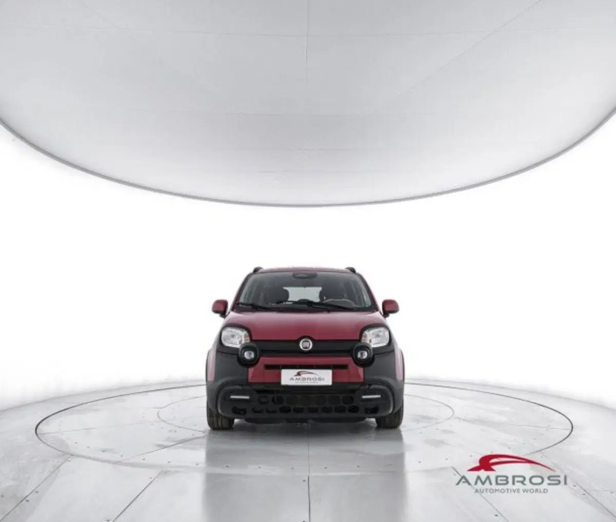 Fiat Panda Cross usata a Perugia (5)