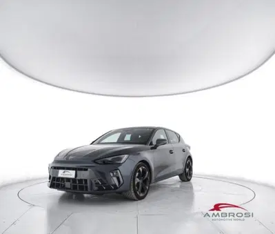 Cupra Leon Leon 2.0 tdi 150cv dsg del 2024 usata a Corciano