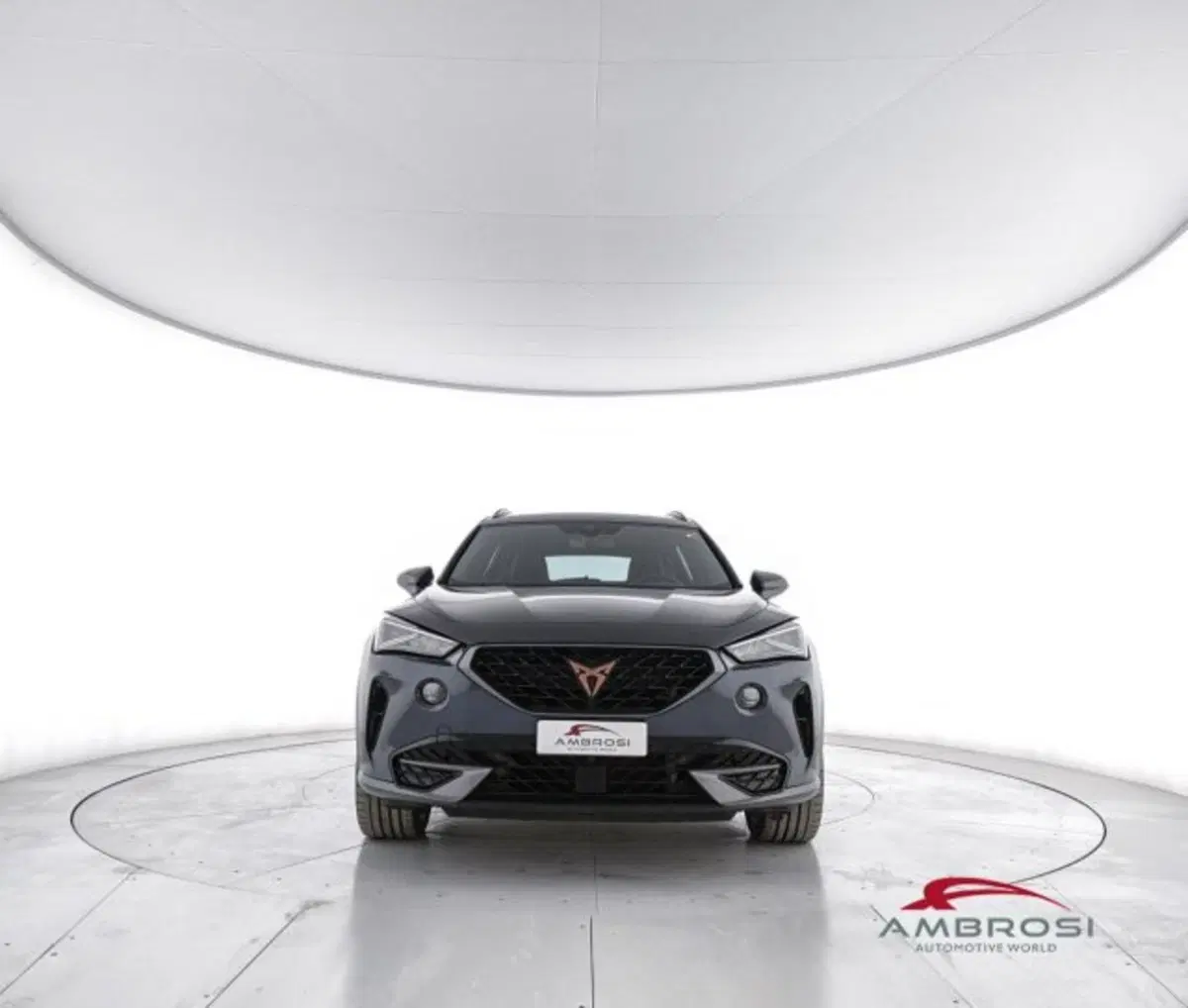 Cupra Formentor usata a Perugia (5)