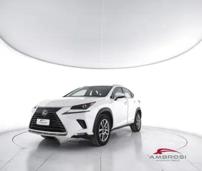 Lexus NX Hybrid 4WD Executive del 2018 usata a Corciano