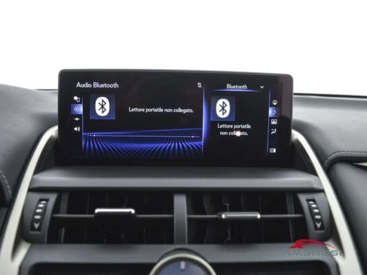 Lexus NX usata a Perugia (15)