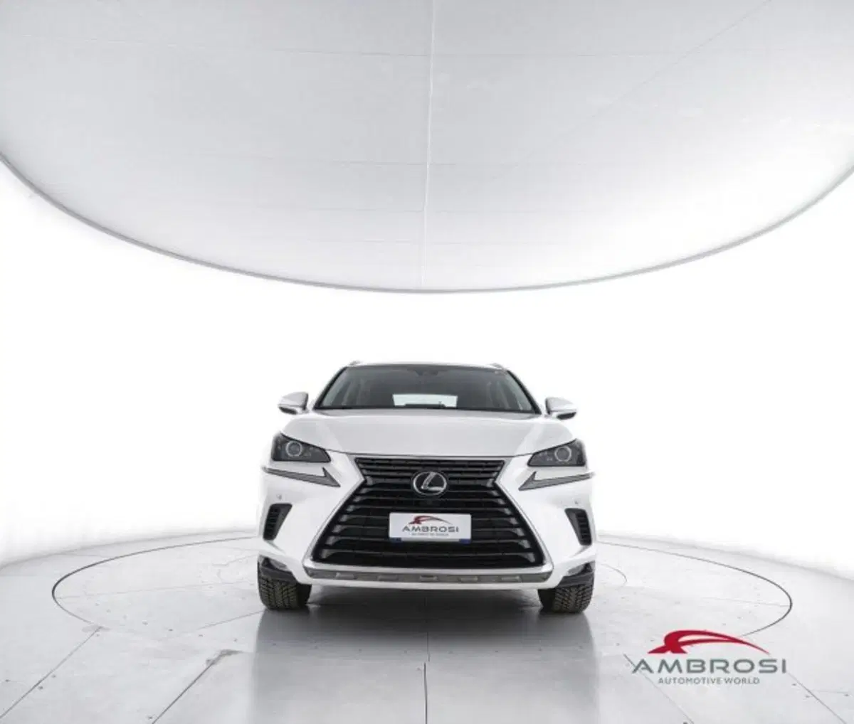 Lexus NX usata a Perugia (5)