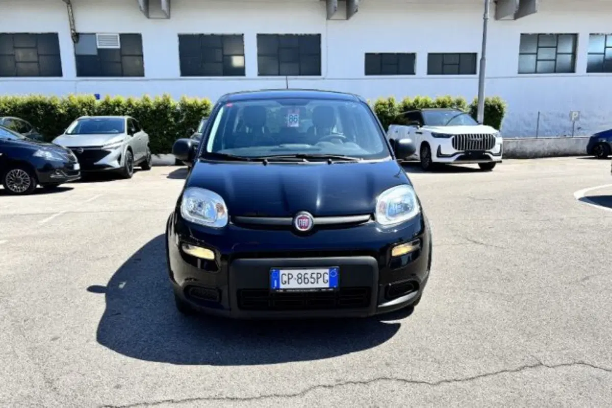 Fiat Panda usata a Latina (2)