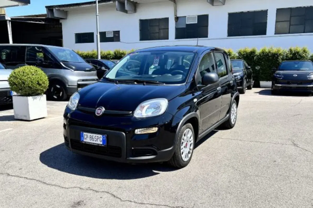 Fiat Panda usata a Latina (3)
