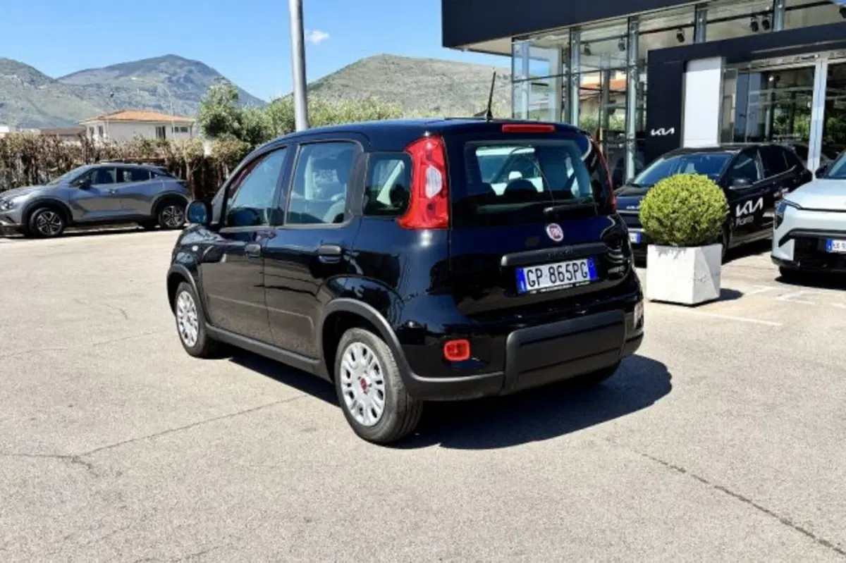 Fiat Panda usata a Latina (5)