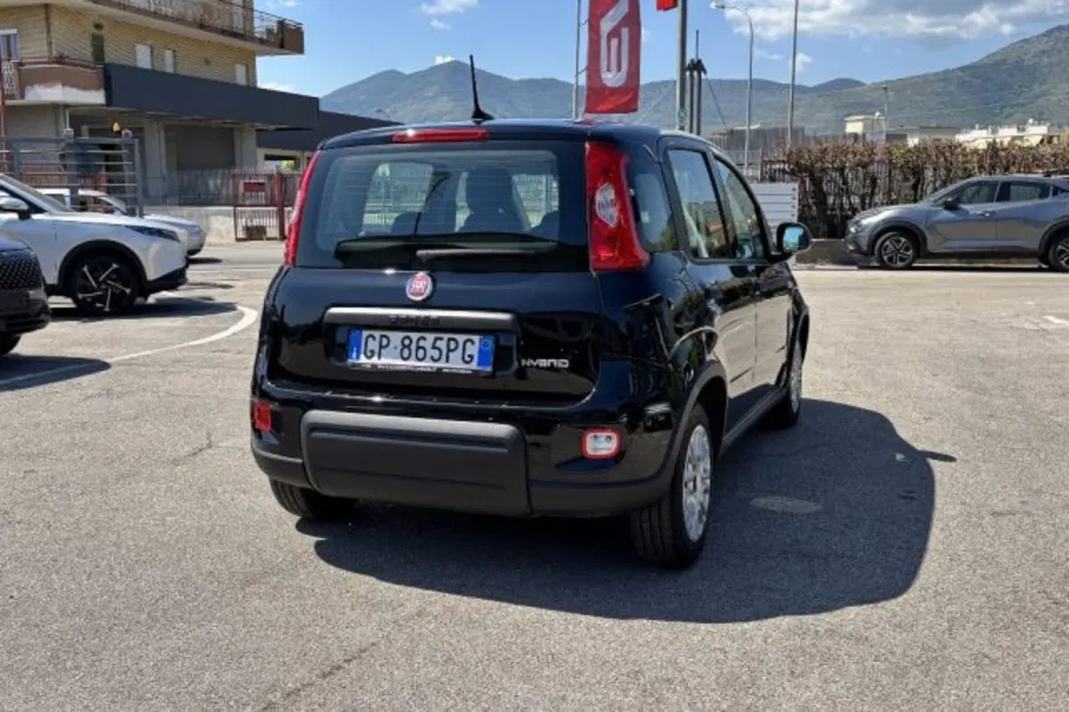 Fiat Panda usata a Latina (7)