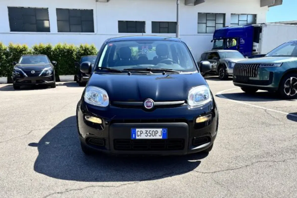 Fiat Panda usata a Latina (2)