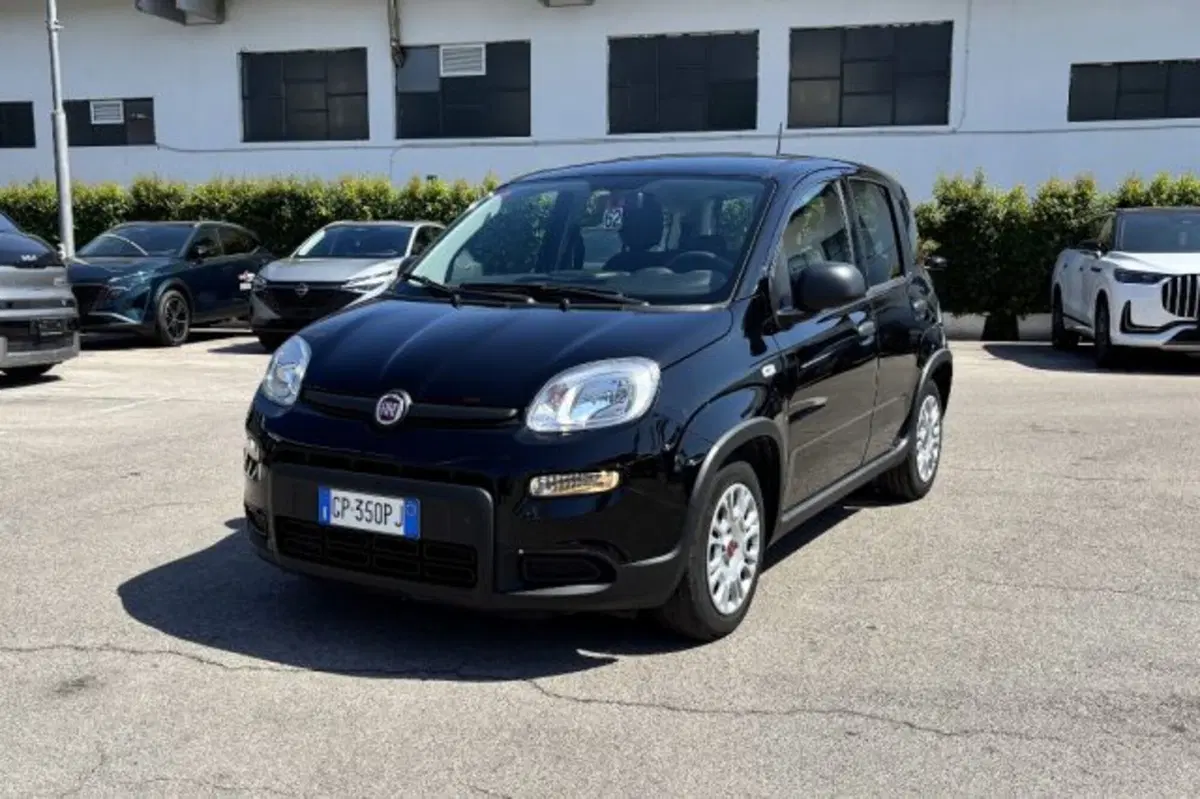 Fiat Panda usata a Latina (3)