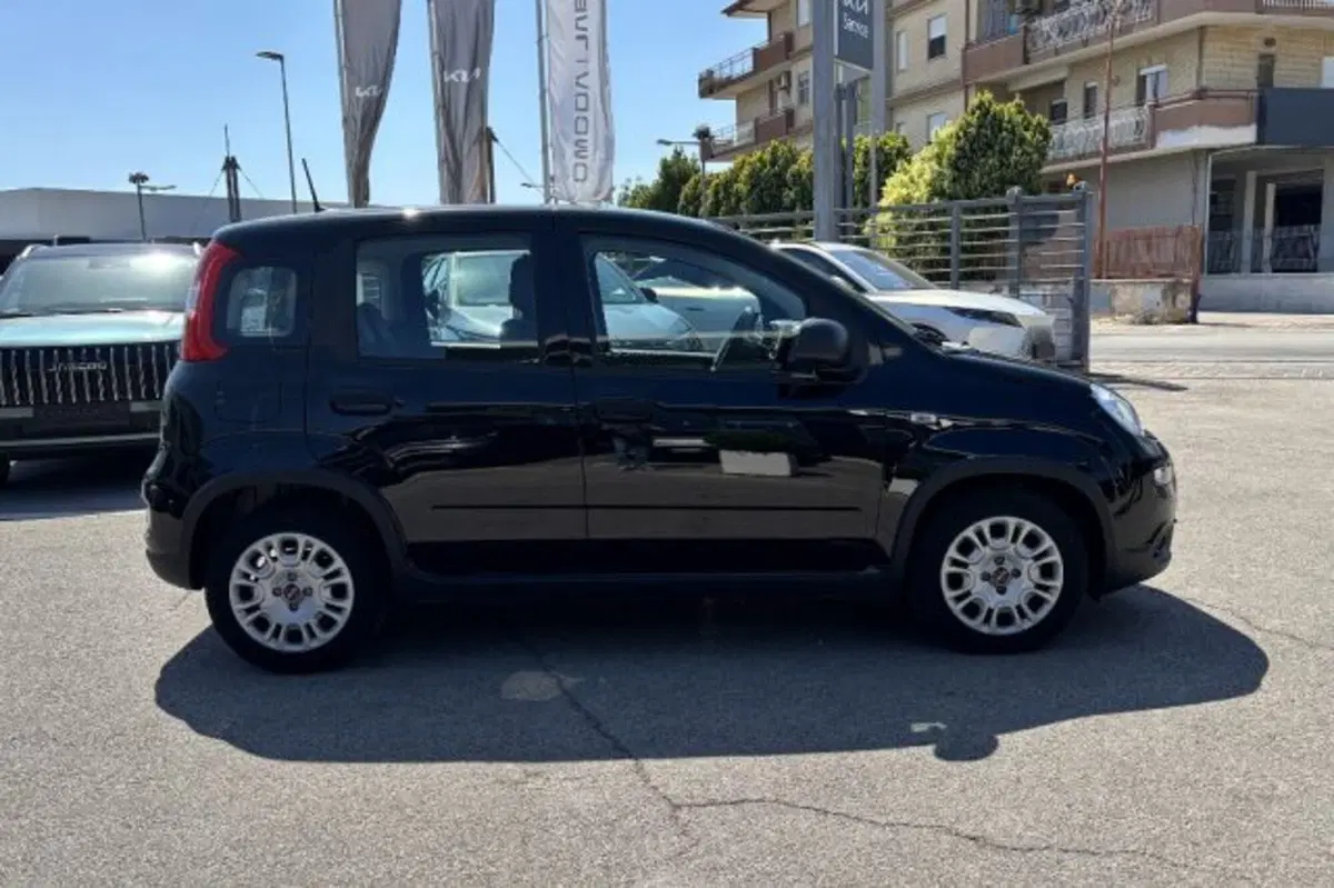 Fiat Panda usata a Latina (4)
