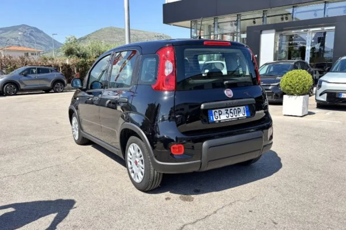 Fiat Panda usata a Latina (5)