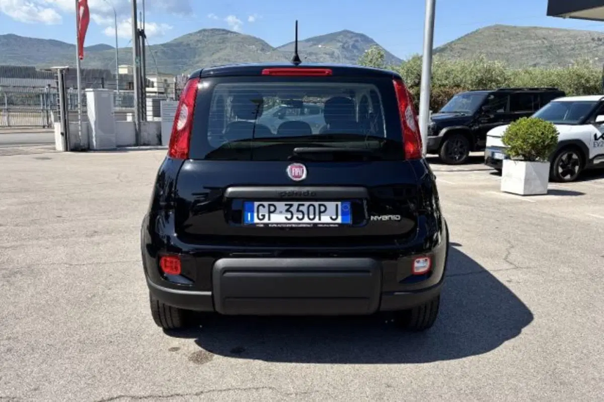 Fiat Panda usata a Latina (6)