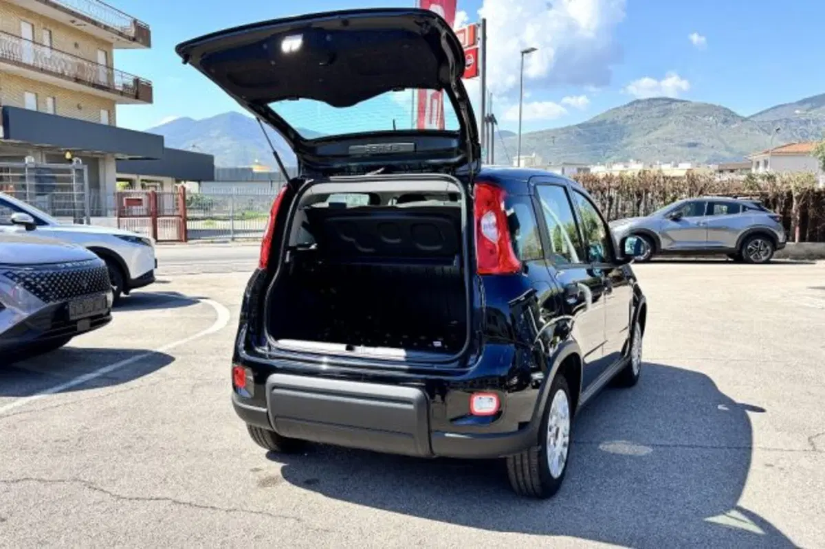 Fiat Panda usata a Latina (7)