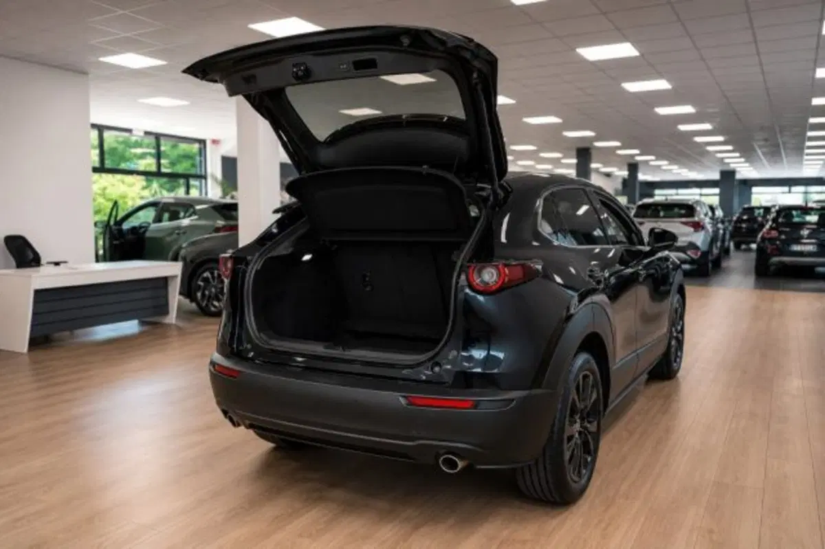 Mazda CX-30 usata a Latina (7)