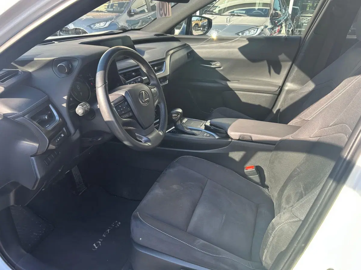 Lexus UX usata a Piacenza (10)