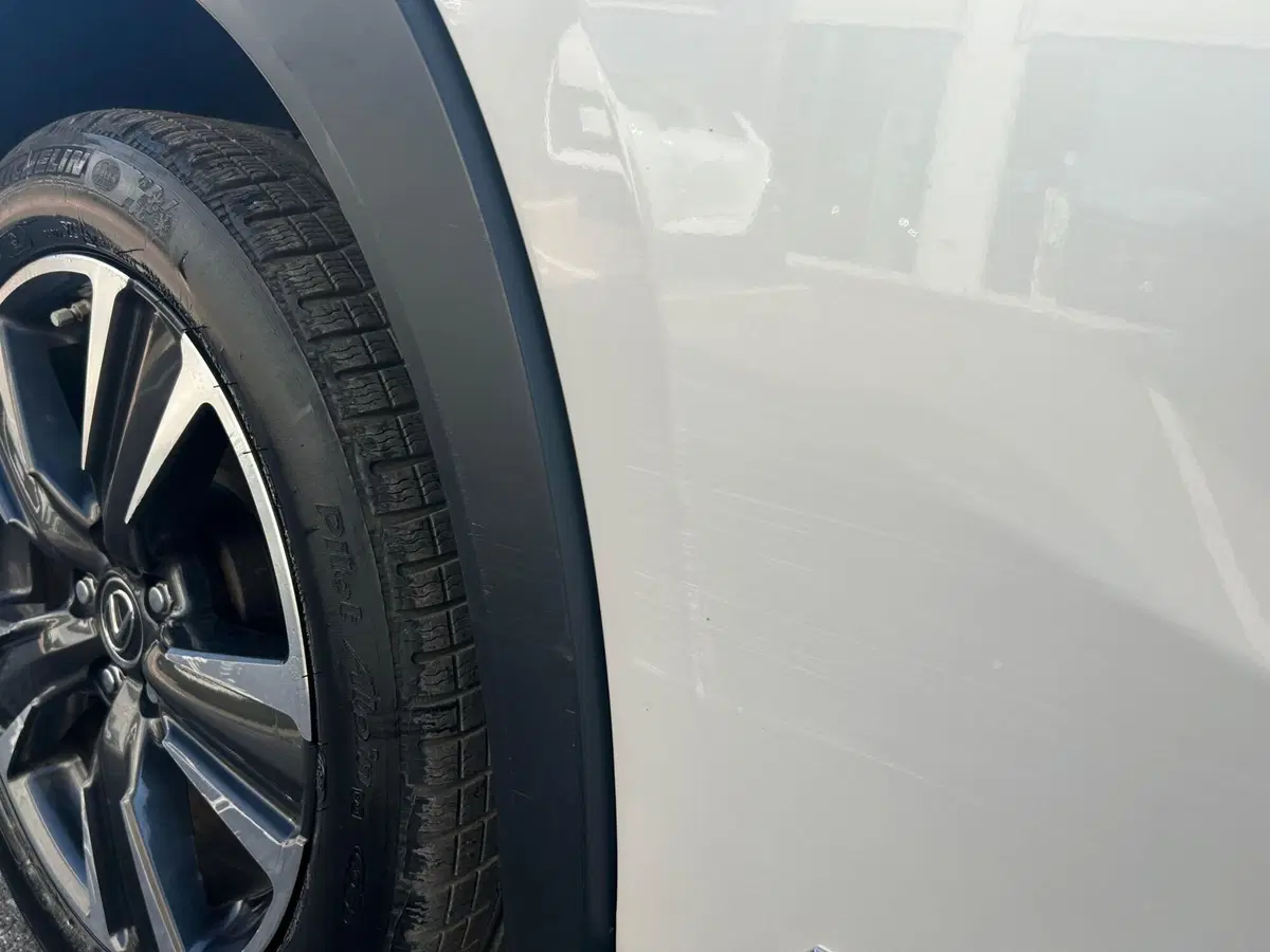 Lexus UX usata a Piacenza (6)