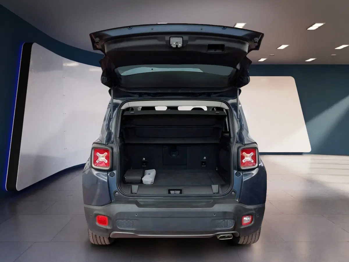 Jeep Renegade usata a Torino (7)
