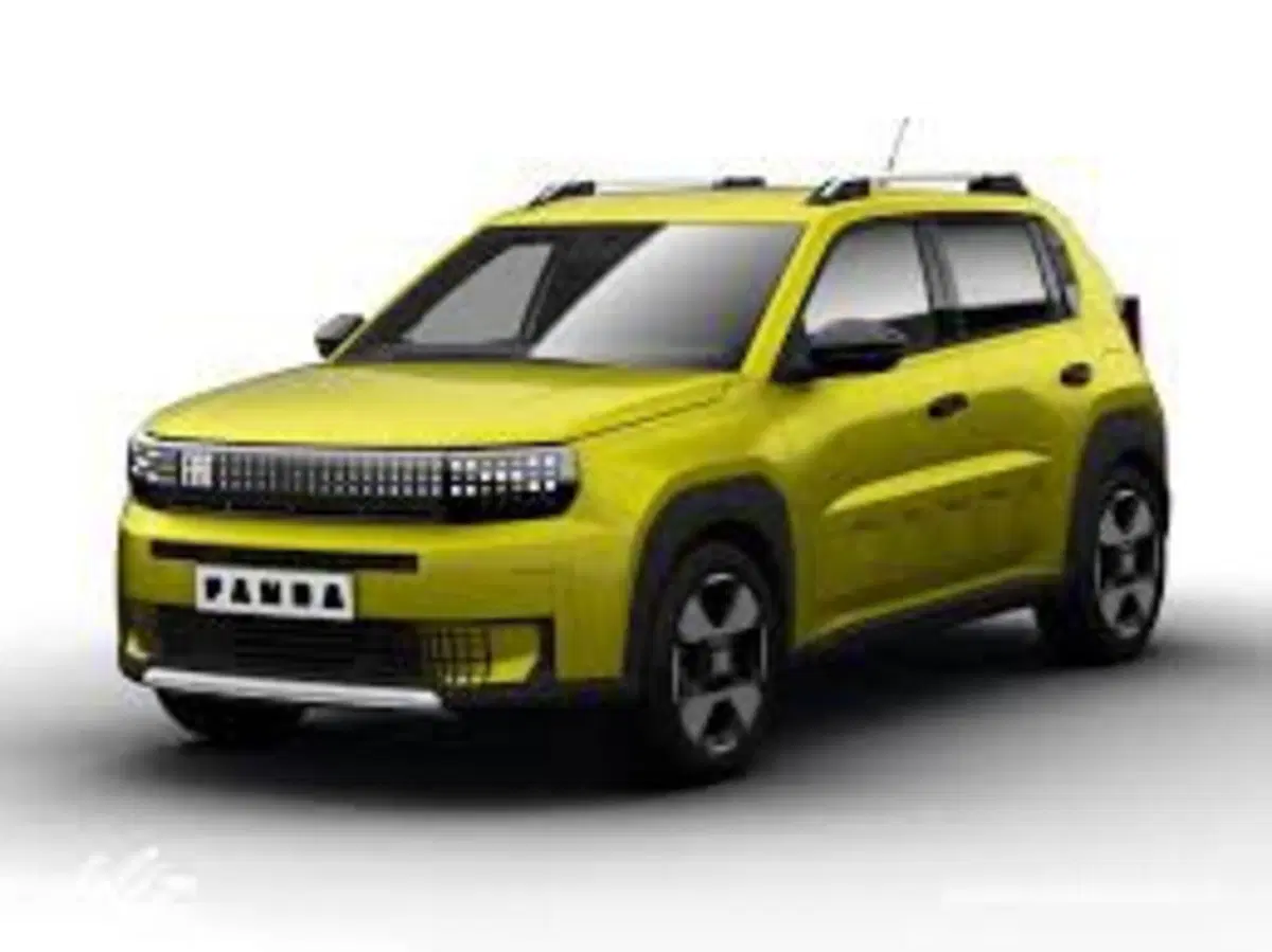 Fiat Grande Panda nuova a Torino