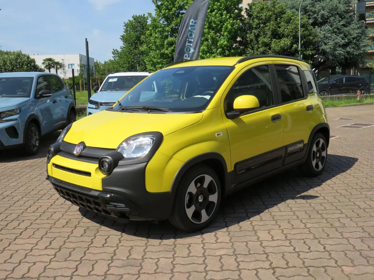 Fiat Pandina nuova a Monza e Brianza (6)