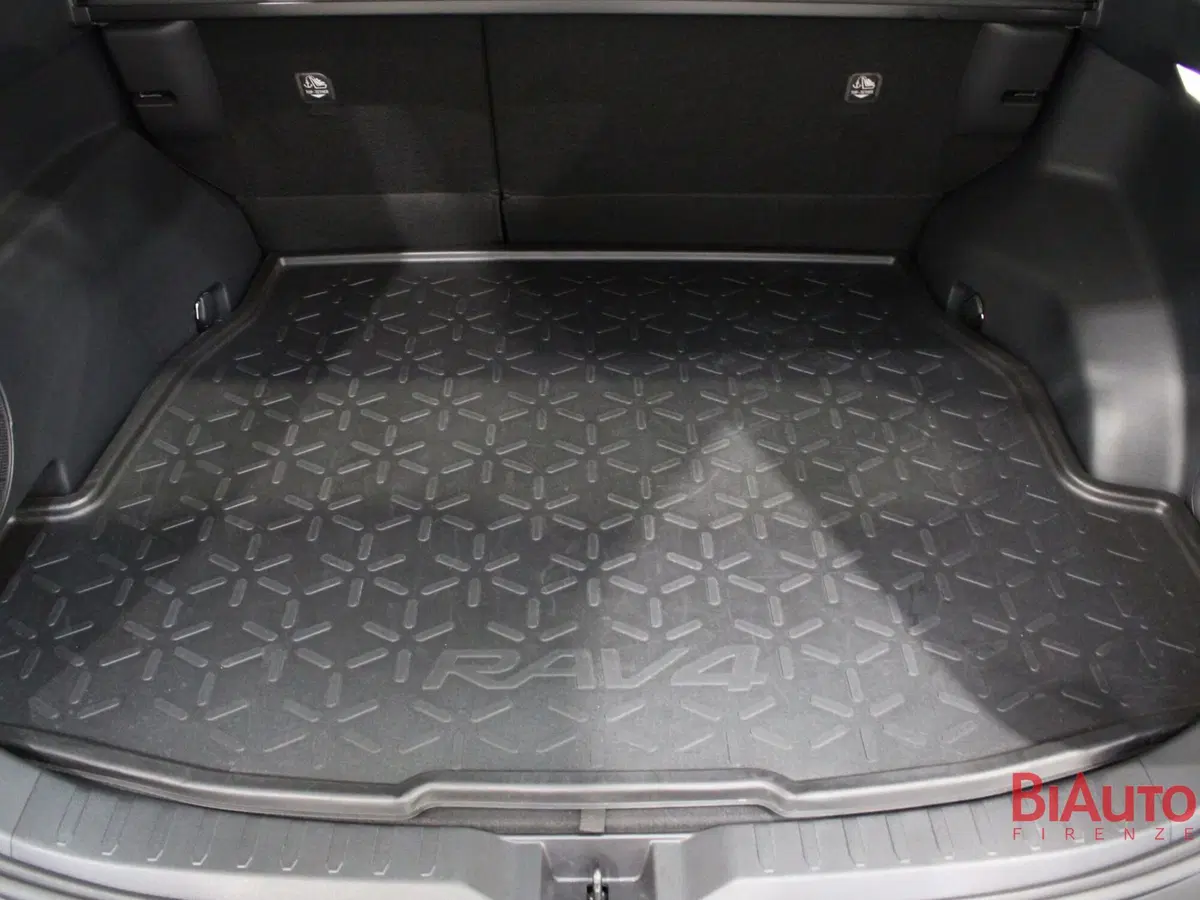 Toyota Rav4 usata a Firenze (8)