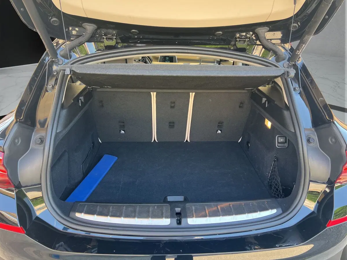 BMW X2 usata a Cosenza (20)