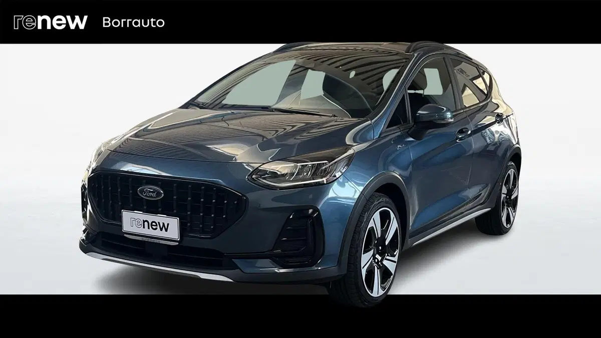 Ford Fiesta usata a Treviso