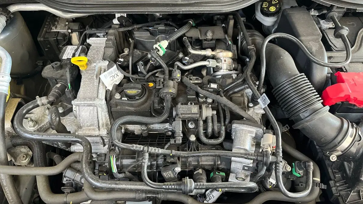 Ford Fiesta usata a Treviso (17)