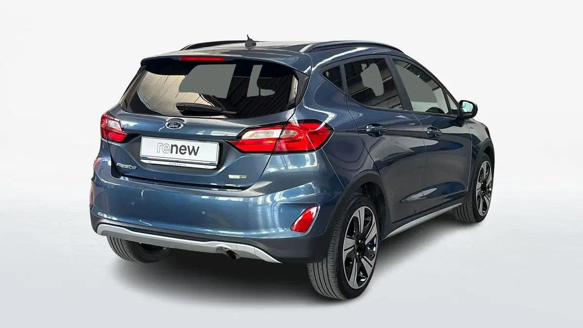 Ford Fiesta usata a Treviso (2)