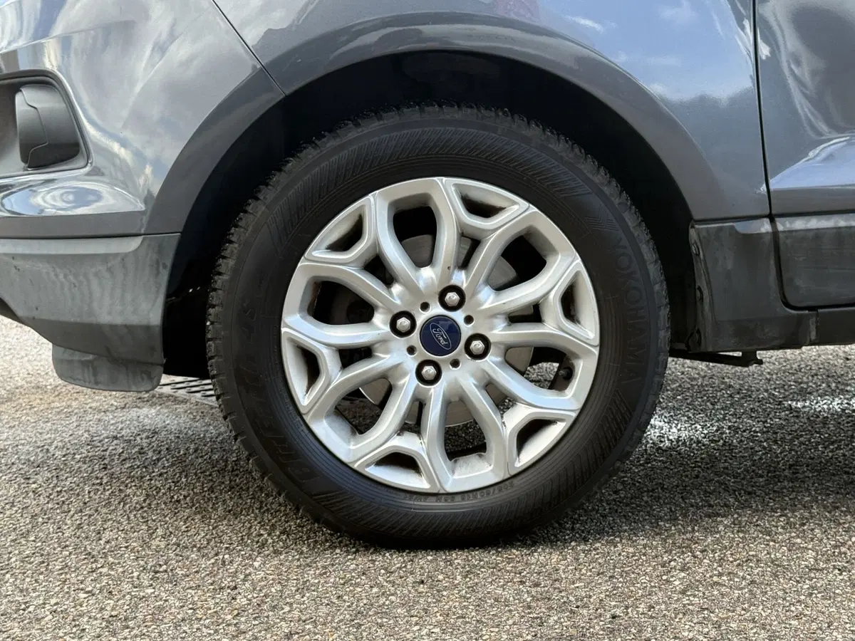 Ford EcoSport usata a Perugia (19)