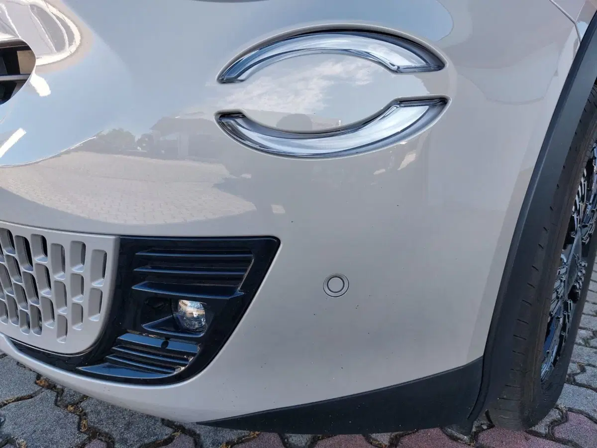 Fiat 600 usata a Pavia (13)