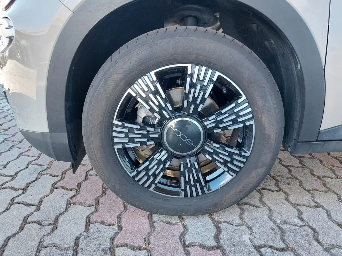 Fiat 600 usata a Pavia (14)