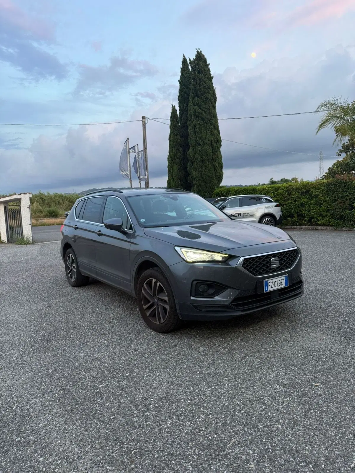 SEAT Tarraco usata a Catanzaro (2)