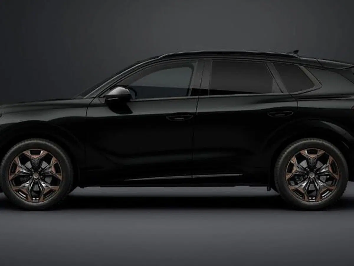 Cupra Terramar nuova a Vicenza (2)