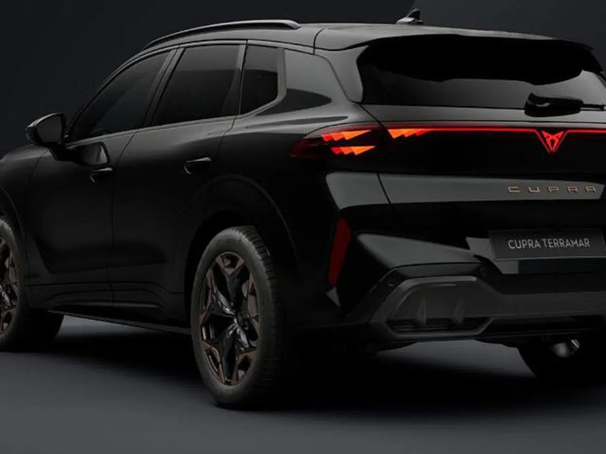 Cupra Terramar nuova a Vicenza (3)