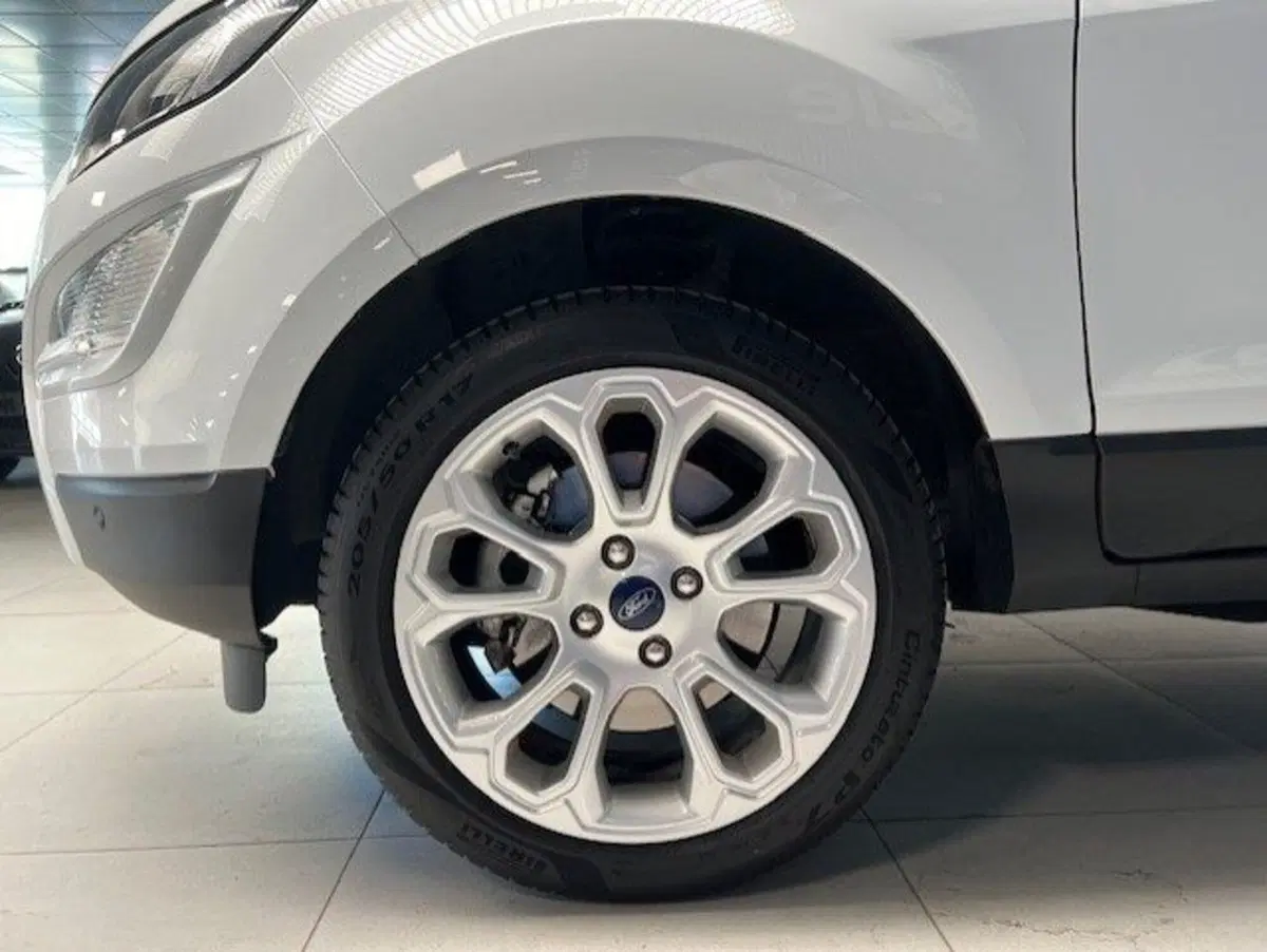 Ford EcoSport usata a Cuneo (16)