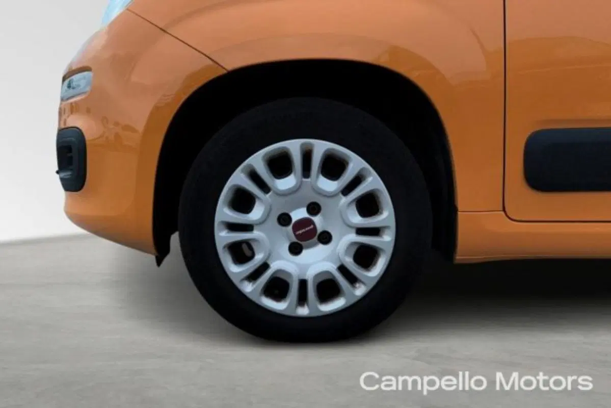 Fiat Panda usata a Venezia (16)