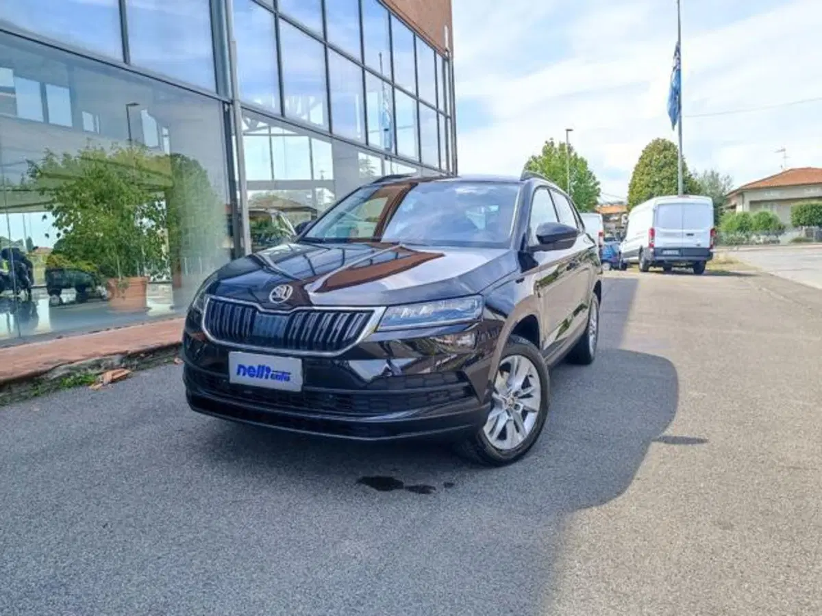 Skoda Karoq usata a Pisa