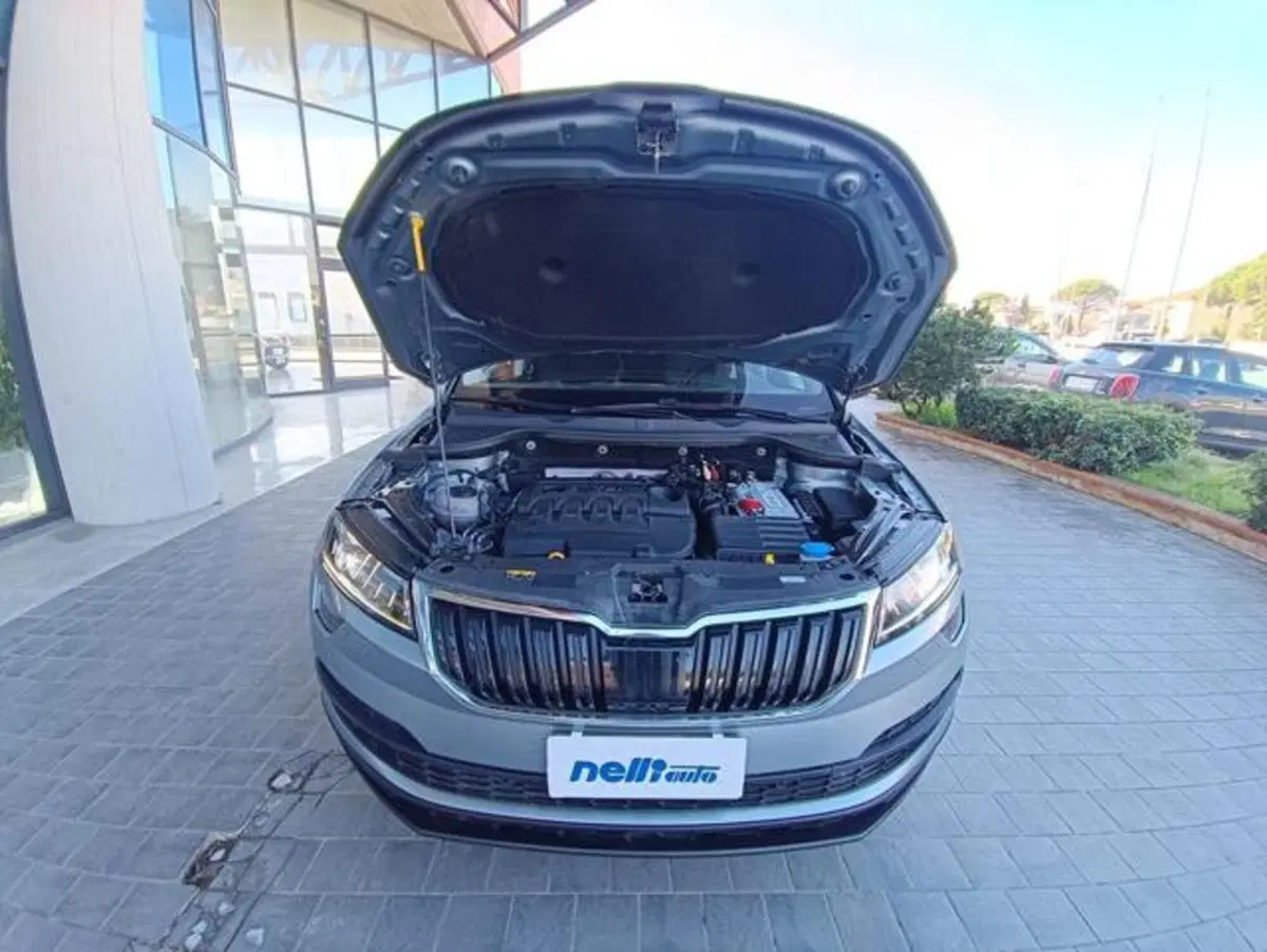 Skoda Karoq usata a Pisa (19)