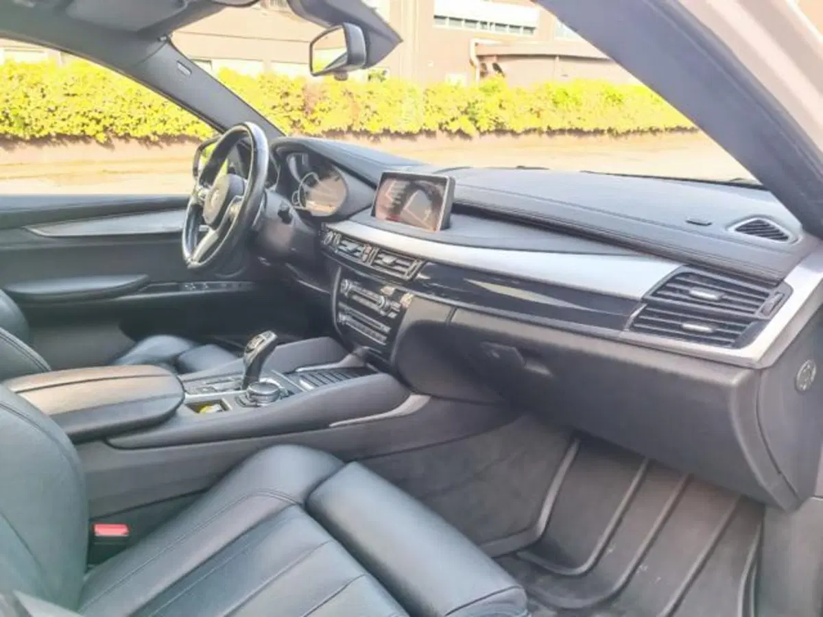 BMW X6 usata a Pisa (16)