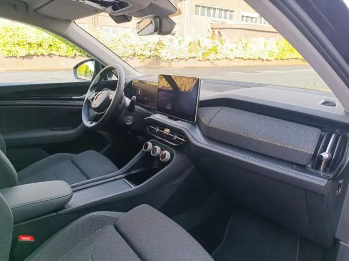Skoda Kodiaq usata a Pisa (17)