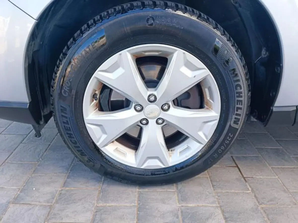 Subaru Forester usata a Pisa (16)
