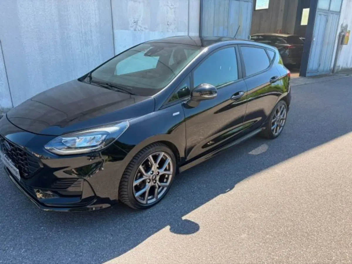 Ford Fiesta usata a Lodi