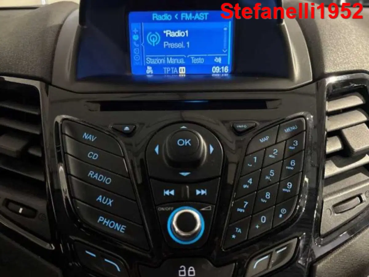 Ford Fiesta usata a Bologna (18)