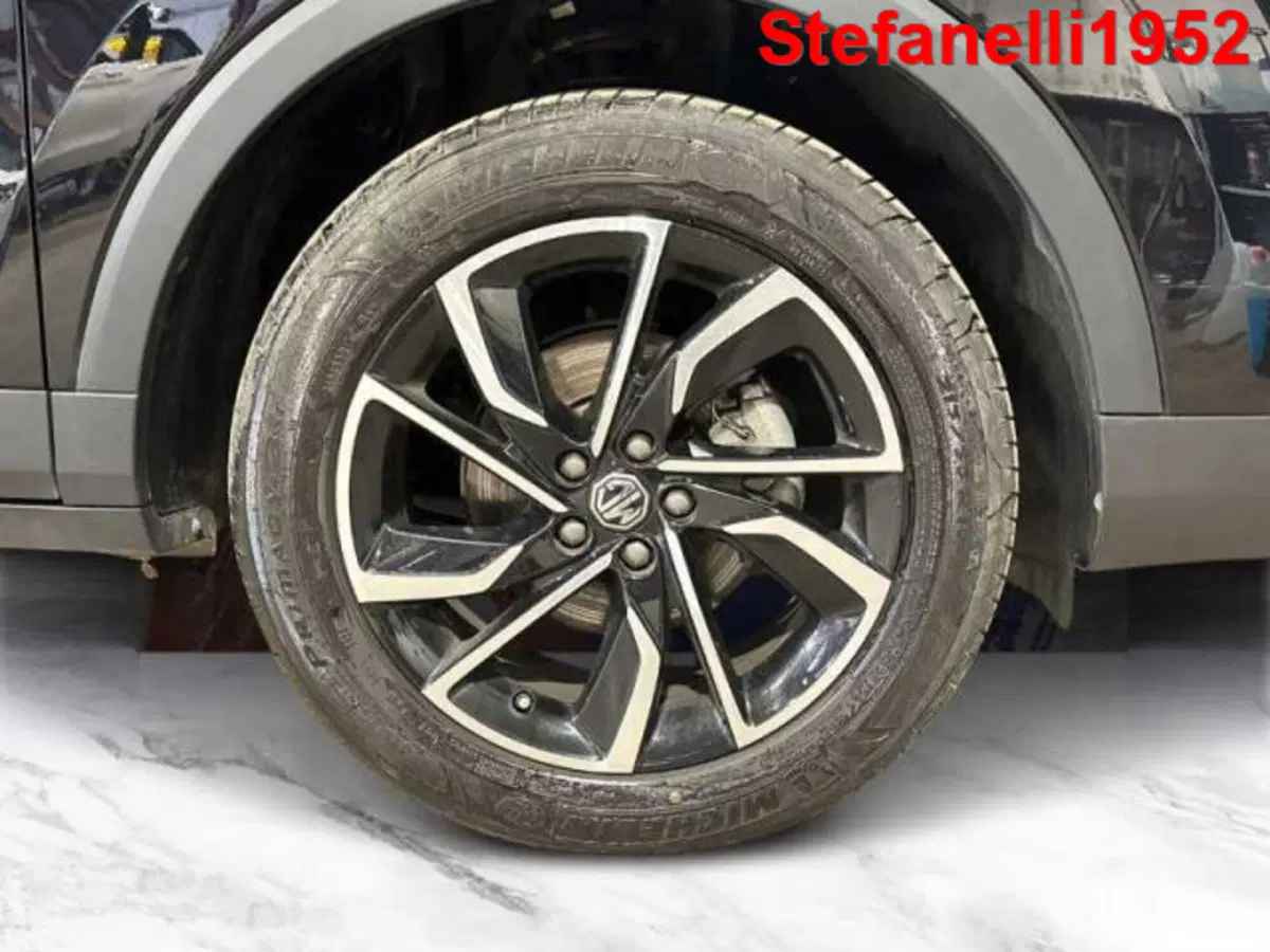 Mg ZS usata a Bologna (8)