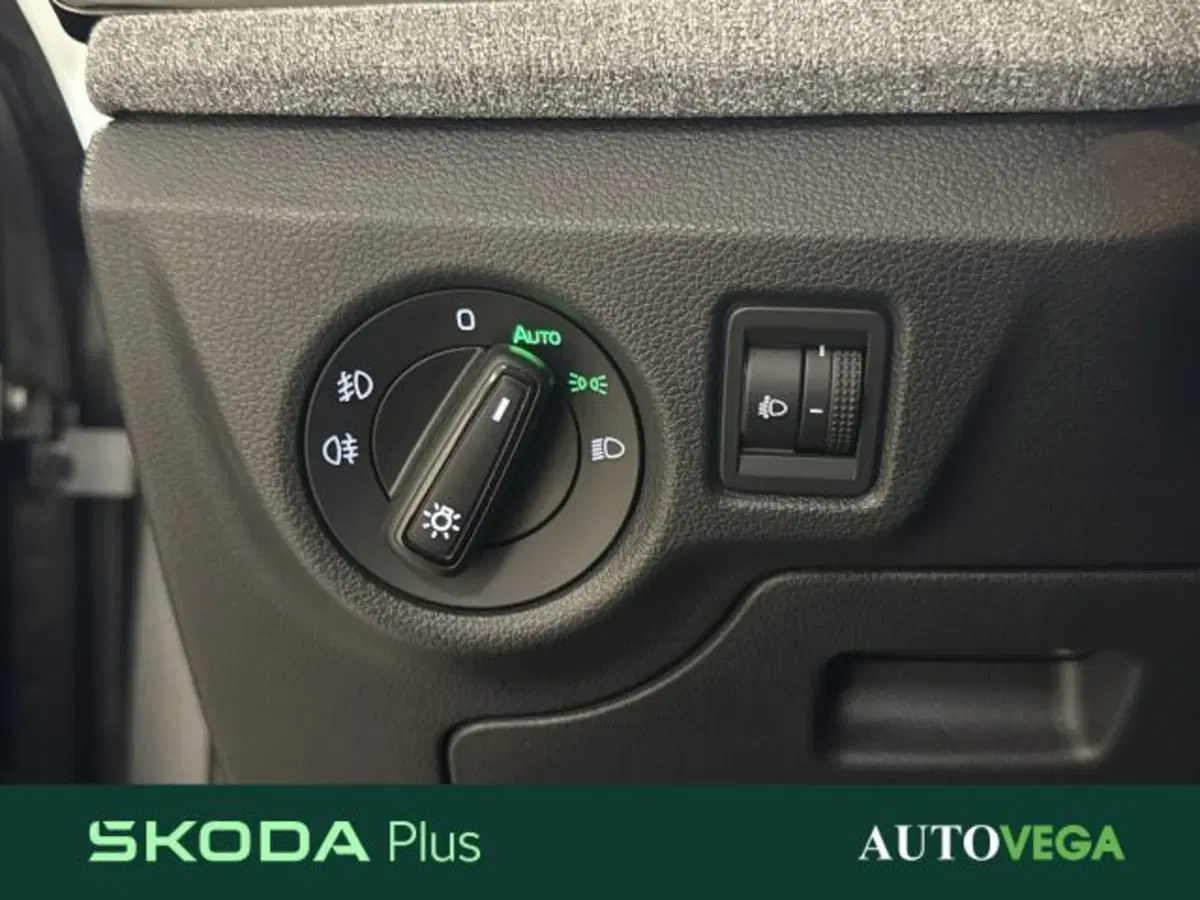 Skoda Kamiq usata a Vicenza (16)
