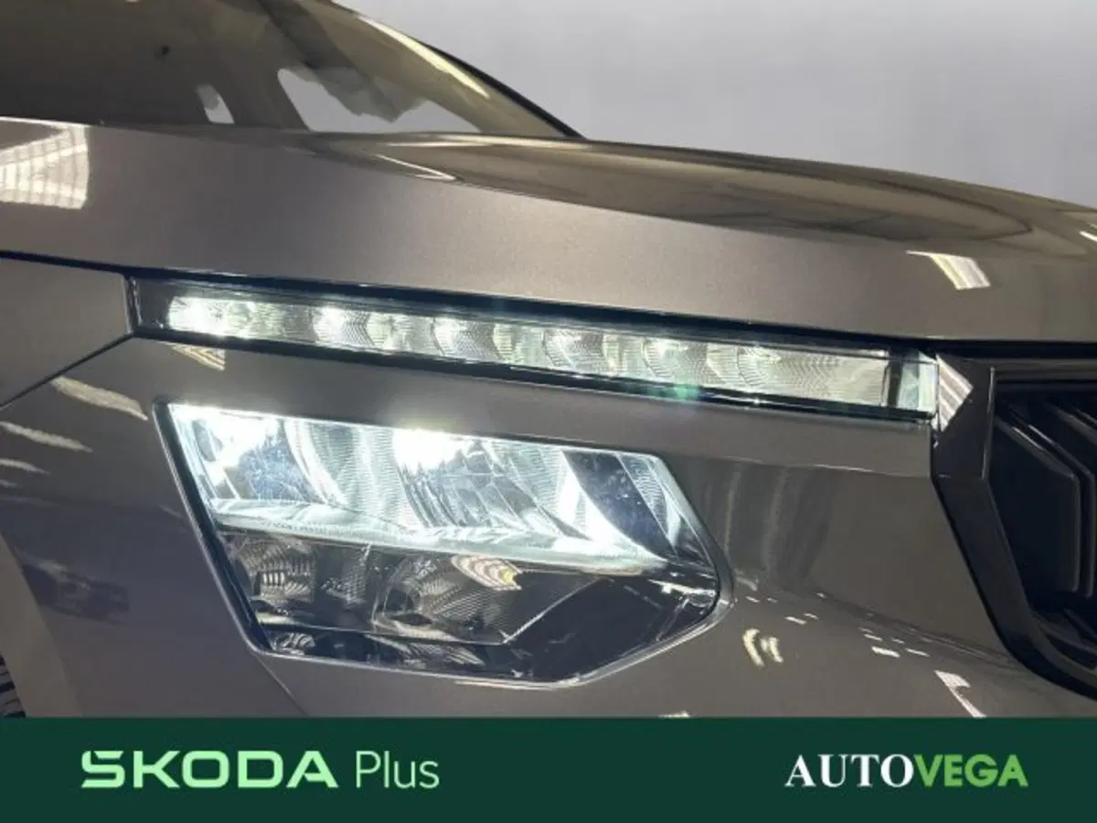 Skoda Kamiq usata a Vicenza (19)