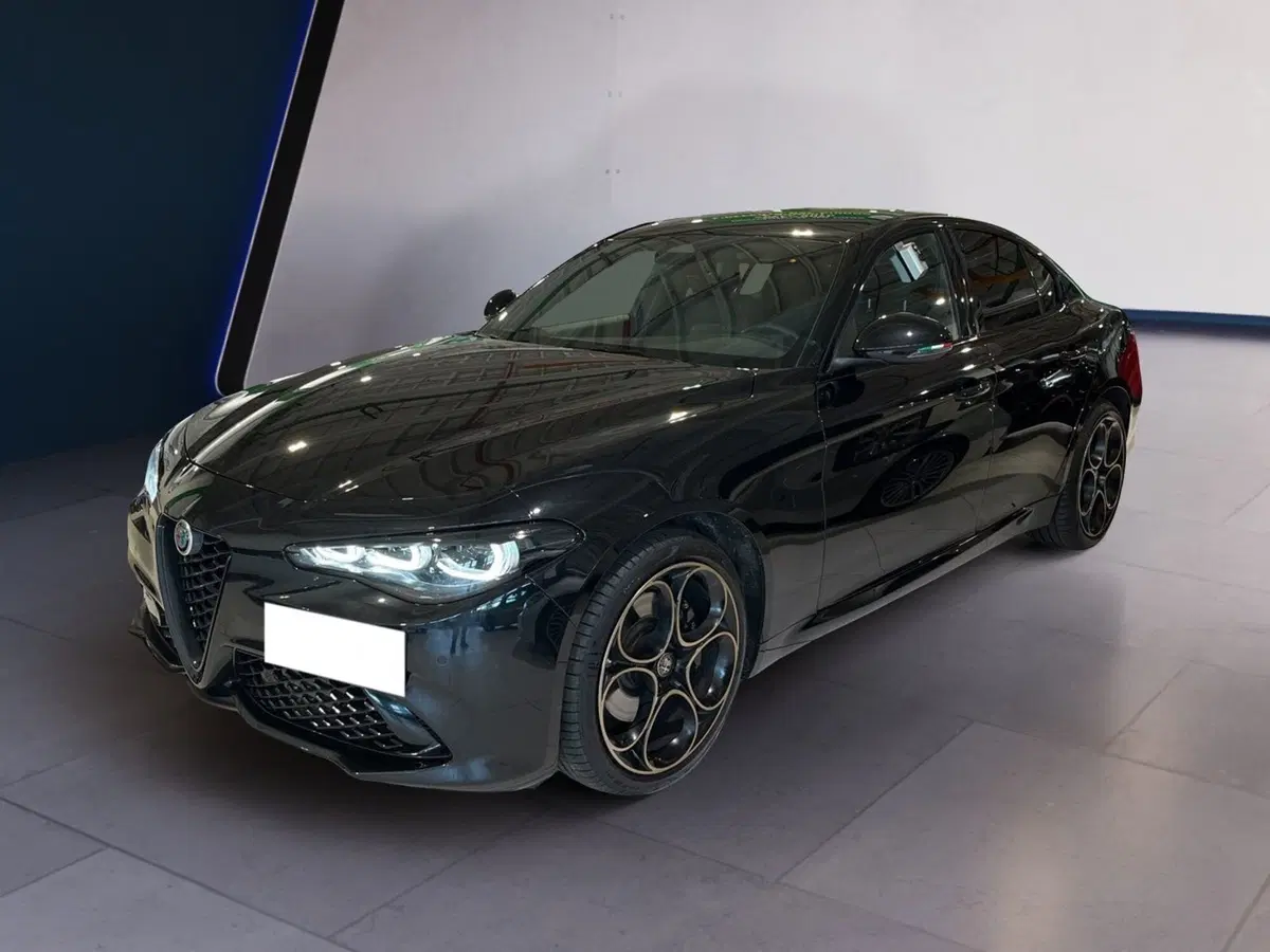 Alfa Romeo Giulia usata a Torino (2)