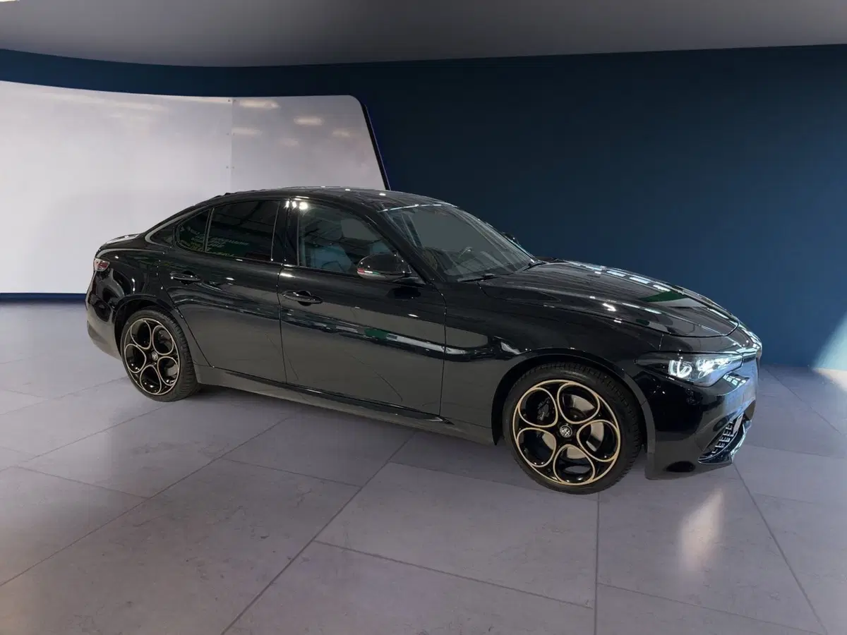 Alfa Romeo Giulia usata a Torino (3)