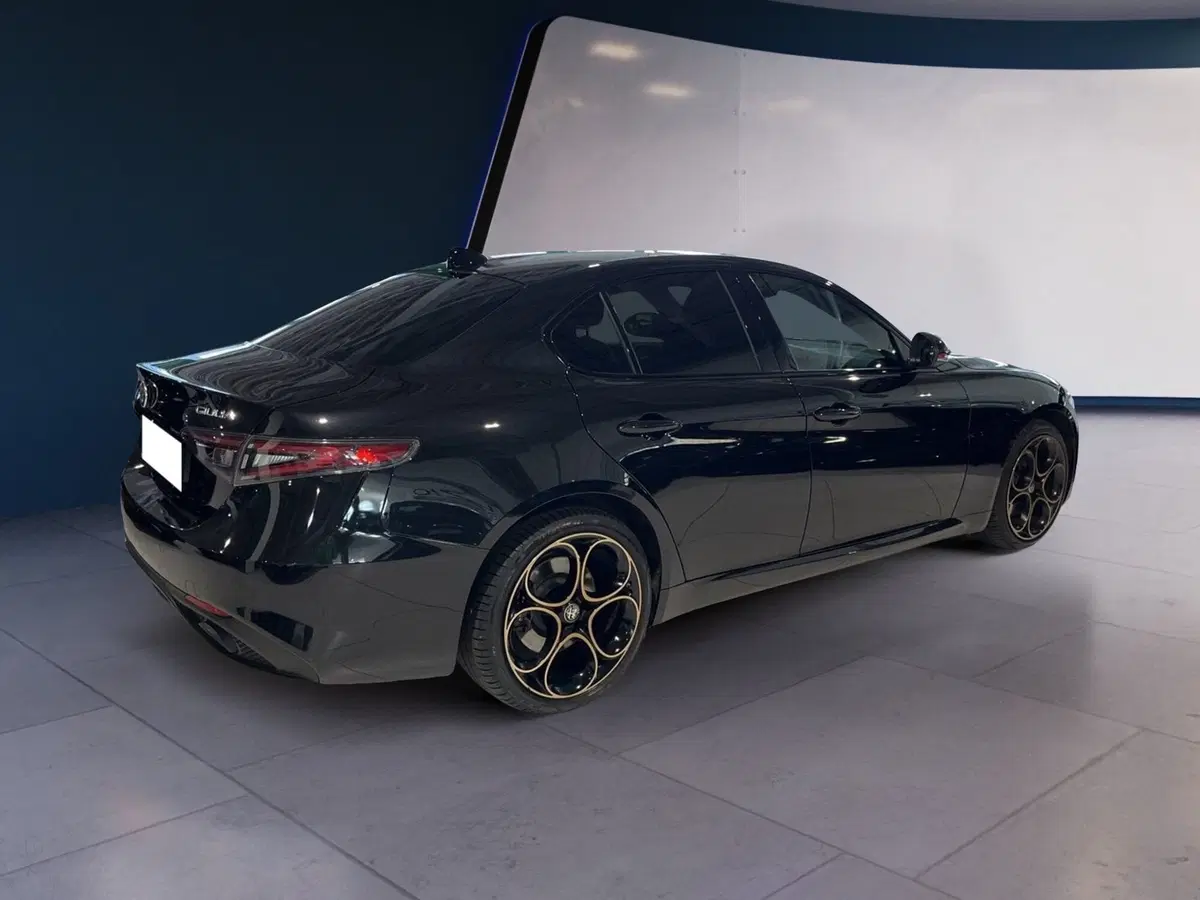 Alfa Romeo Giulia usata a Torino (4)