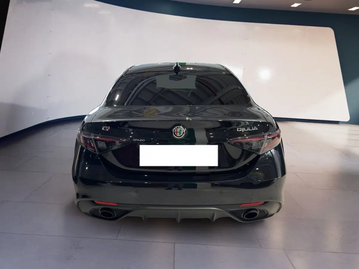 Alfa Romeo Giulia usata a Torino (5)